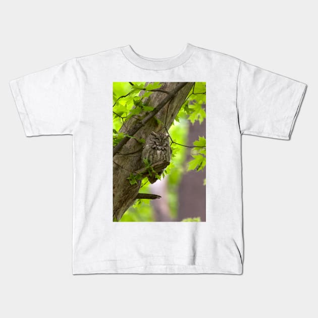 Eastern Screech Owl Kids T-Shirt by Eunice1